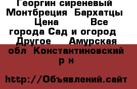 Георгин сиреневый. Монтбреция. Бархатцы.  › Цена ­ 100 - Все города Сад и огород » Другое   . Амурская обл.,Константиновский р-н